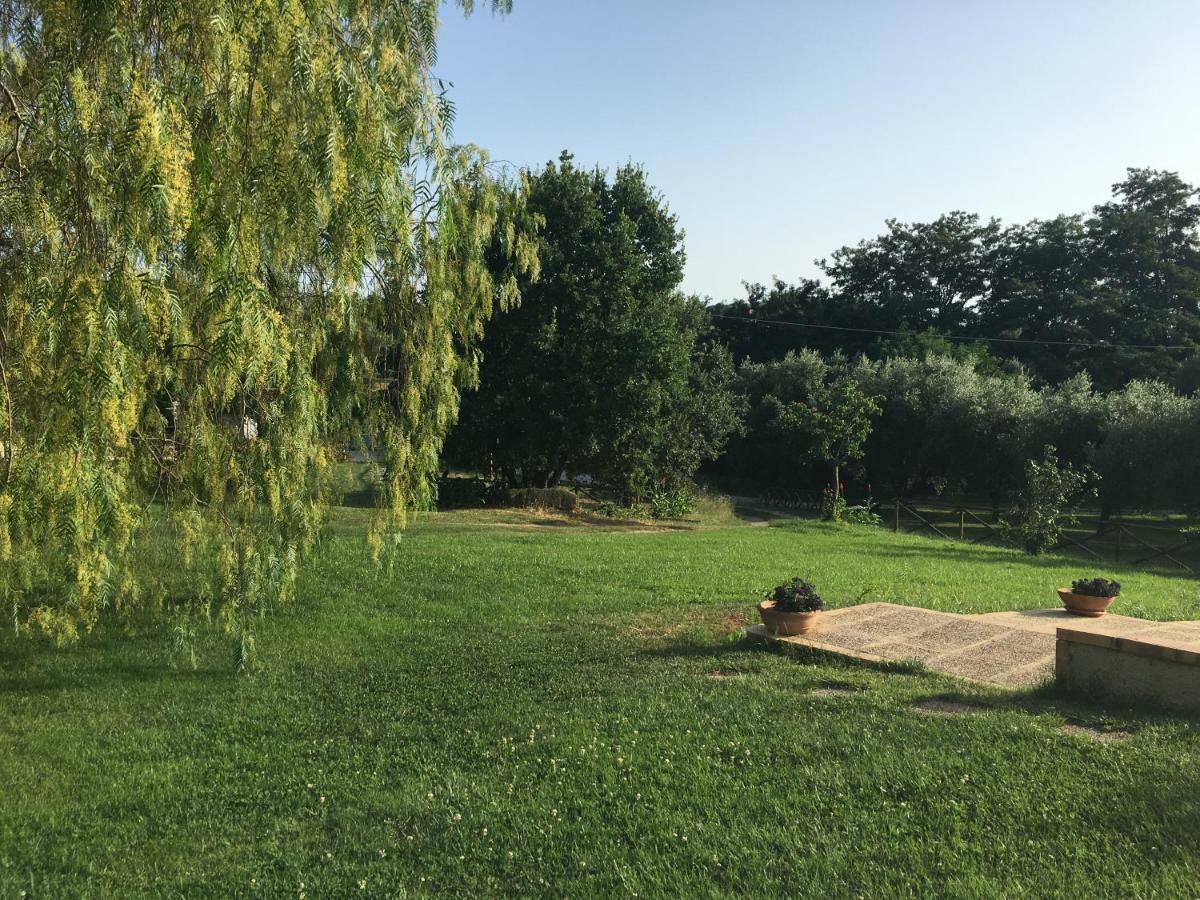 Corbezzolo Bed & Breakfast Vallo della Lucania Exterior photo